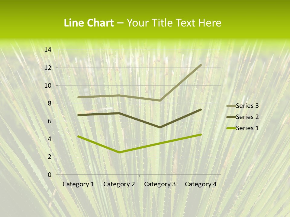 Carlsbad North Attraction PowerPoint Template