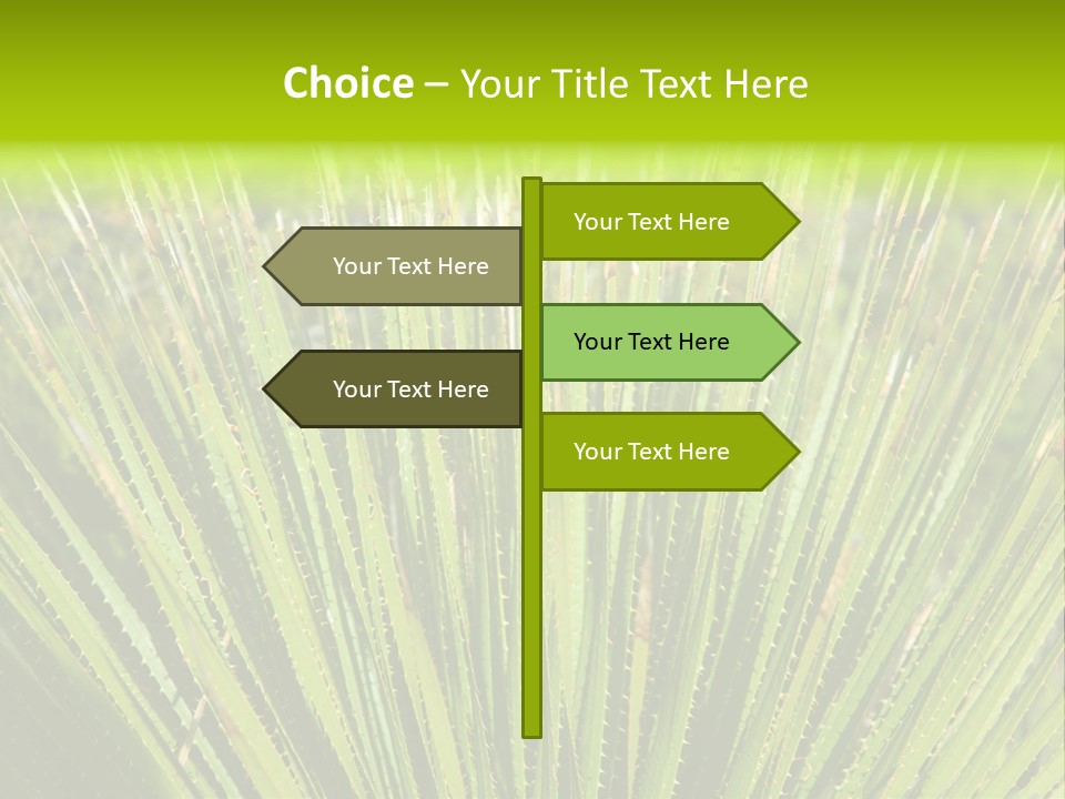 Carlsbad North Attraction PowerPoint Template