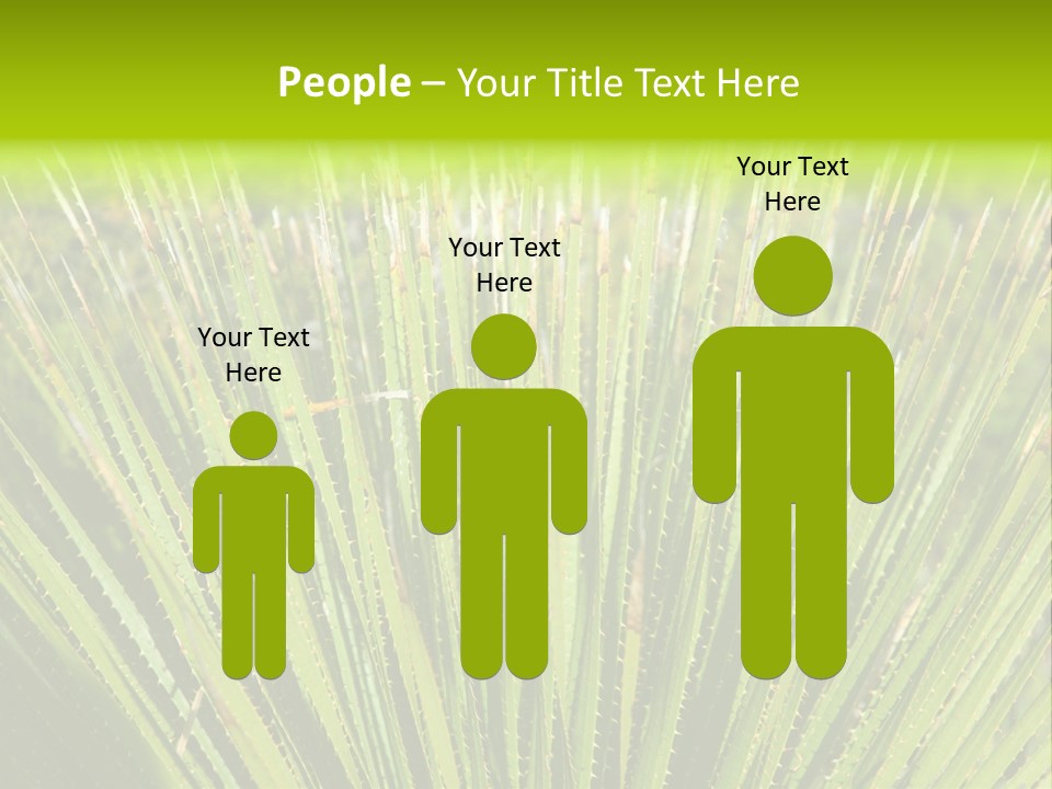 Carlsbad North Attraction PowerPoint Template