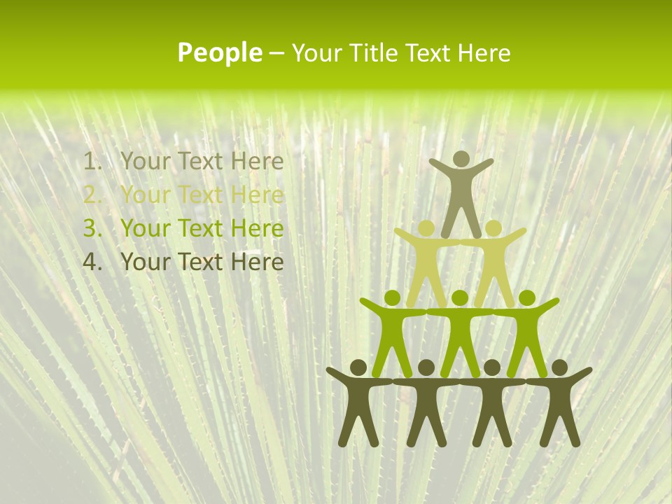 Carlsbad North Attraction PowerPoint Template