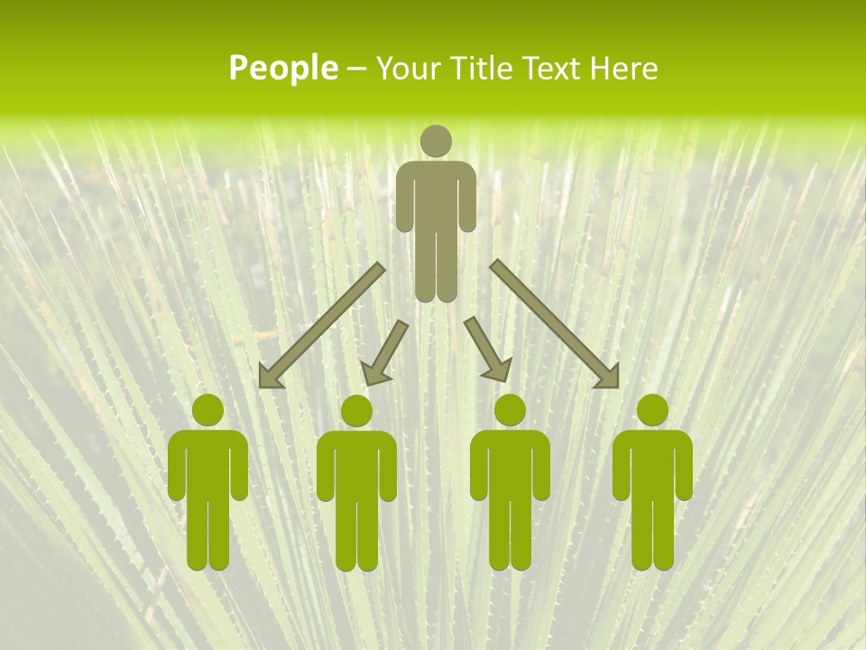 Carlsbad North Attraction PowerPoint Template