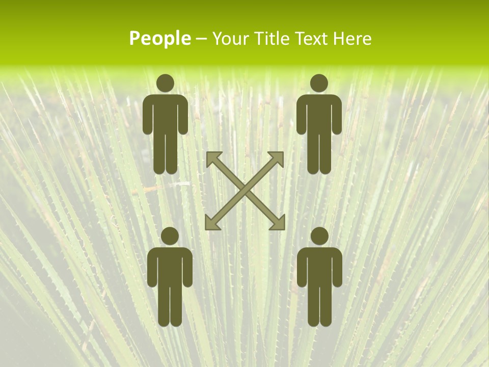 Carlsbad North Attraction PowerPoint Template