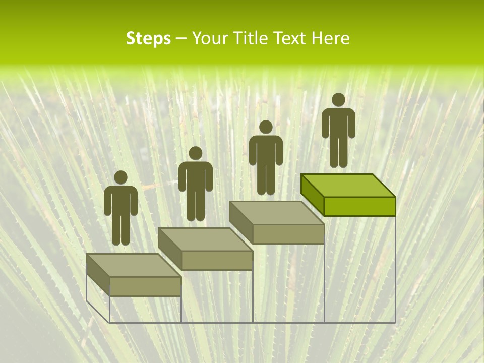 Carlsbad North Attraction PowerPoint Template