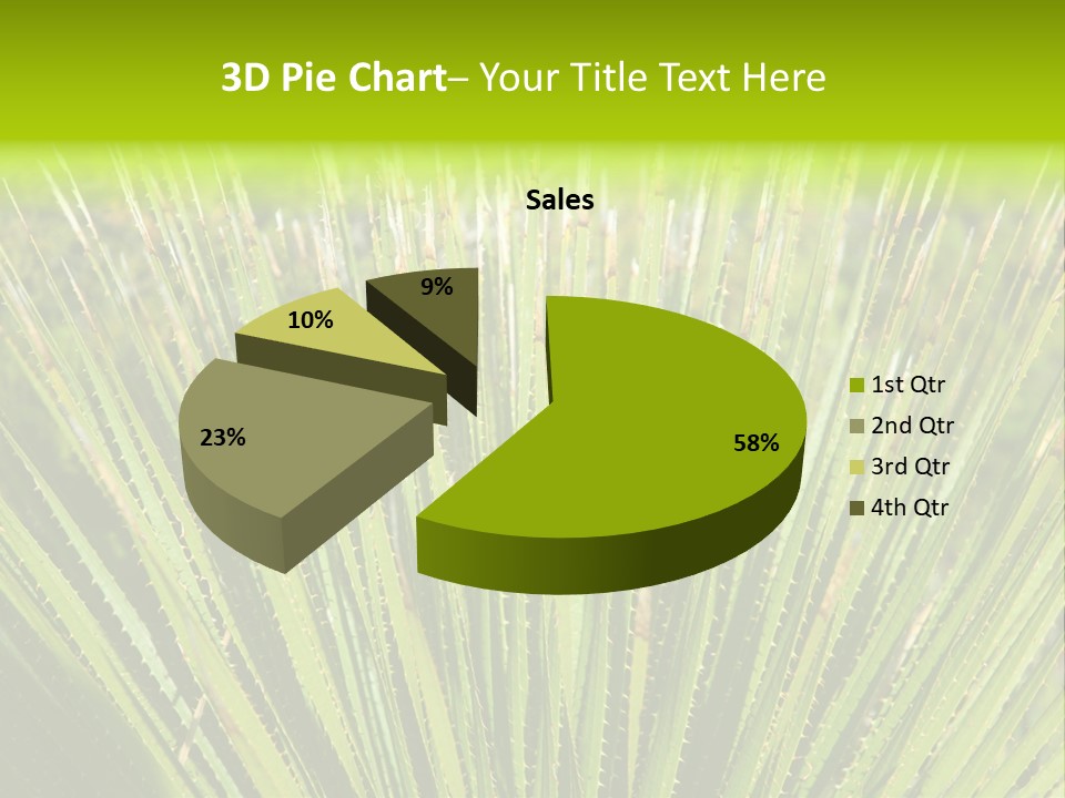 Carlsbad North Attraction PowerPoint Template