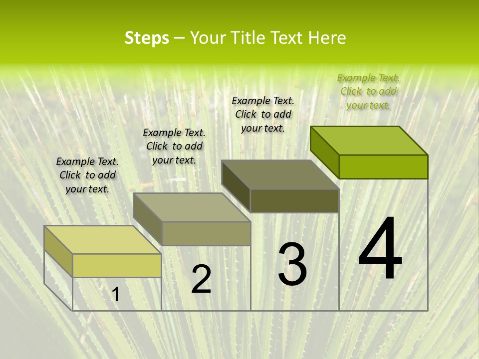 Carlsbad North Attraction PowerPoint Template