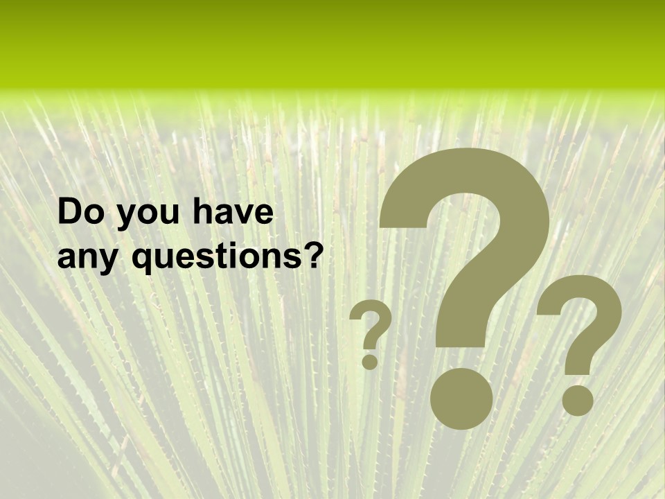 Carlsbad North Attraction PowerPoint Template