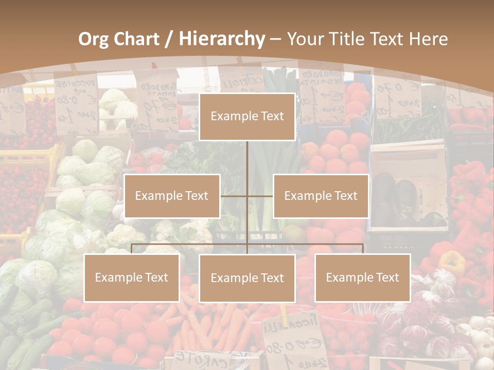 Biomass Area Environment PowerPoint Template