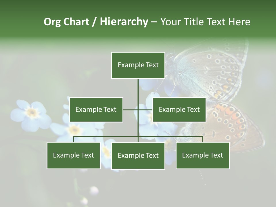 Floral Nature Peace PowerPoint Template