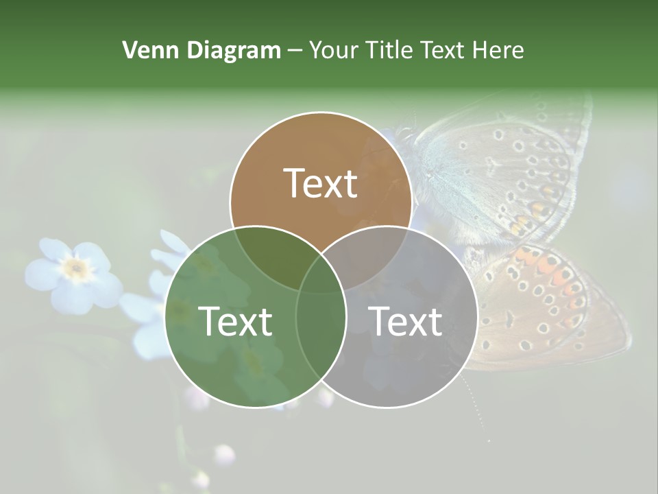 Floral Nature Peace PowerPoint Template