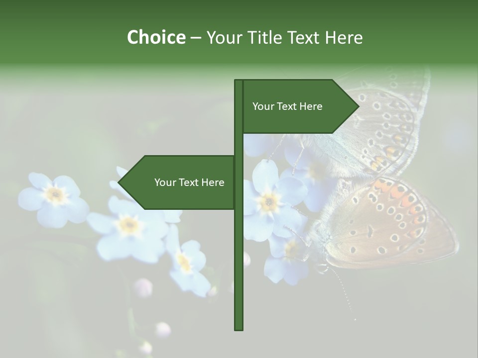 Floral Nature Peace PowerPoint Template