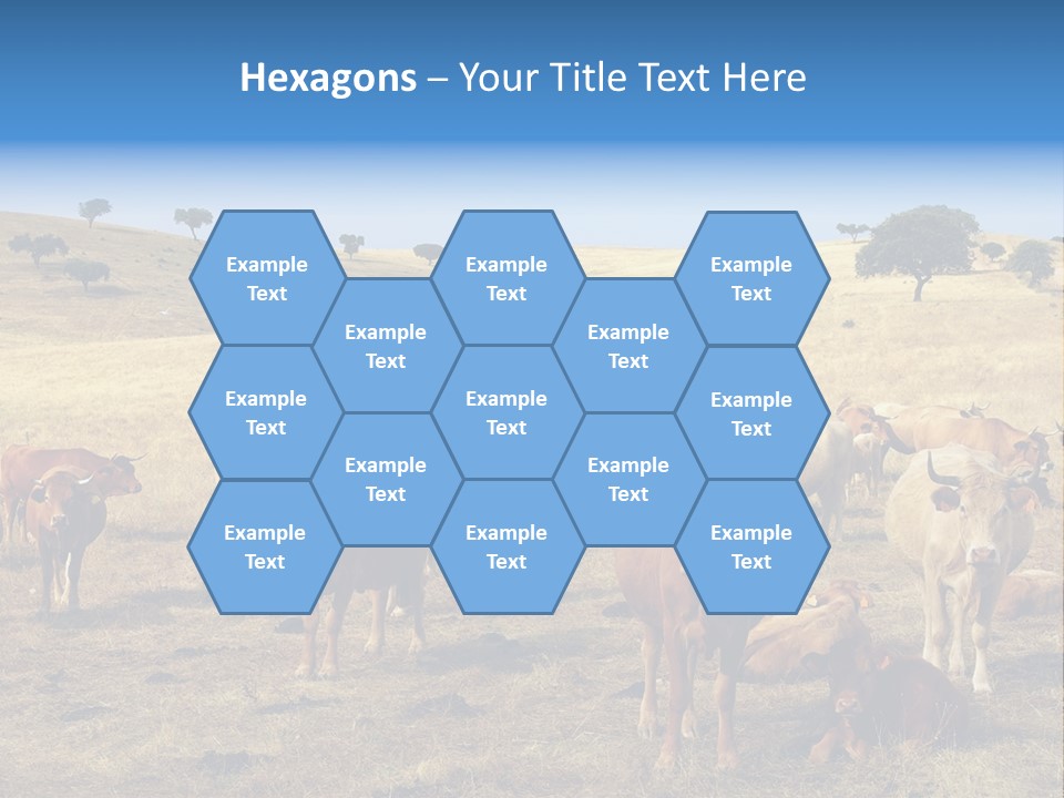 Brown Land Nature PowerPoint Template