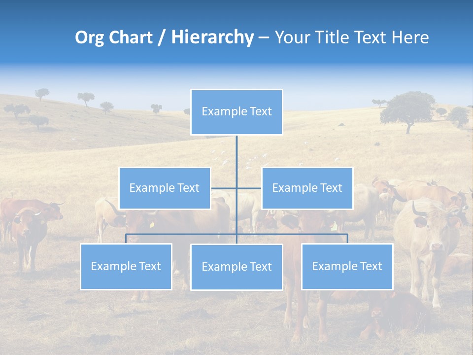 Brown Land Nature PowerPoint Template