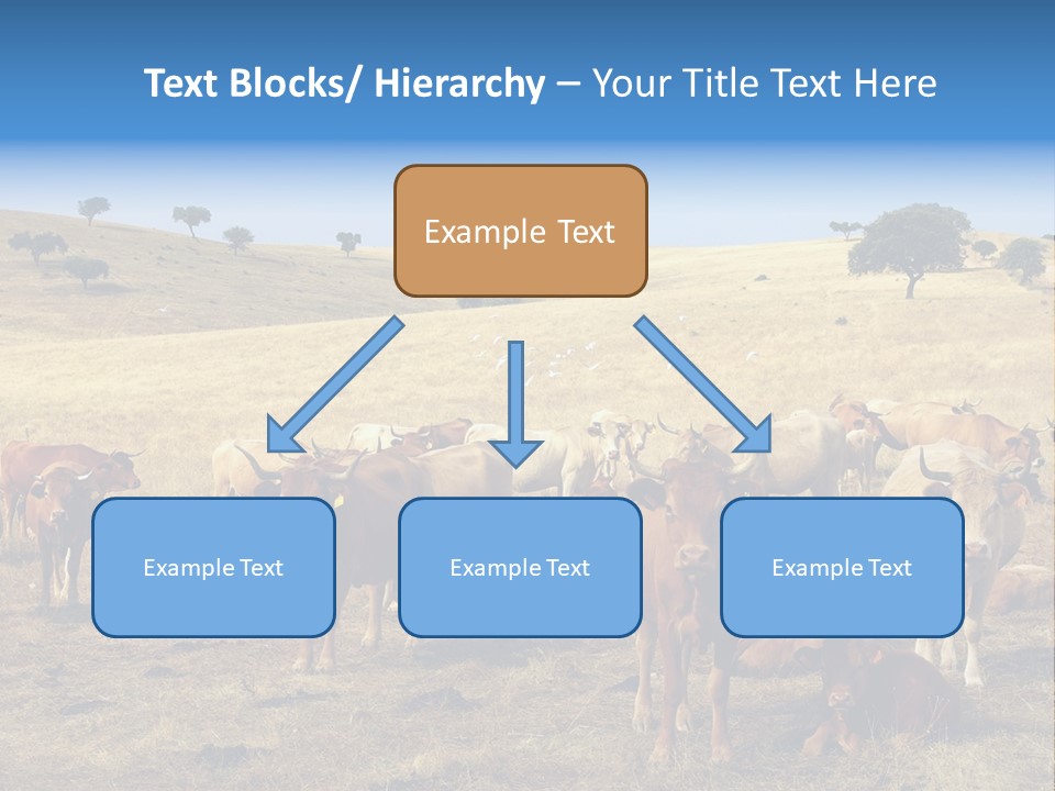 Brown Land Nature PowerPoint Template