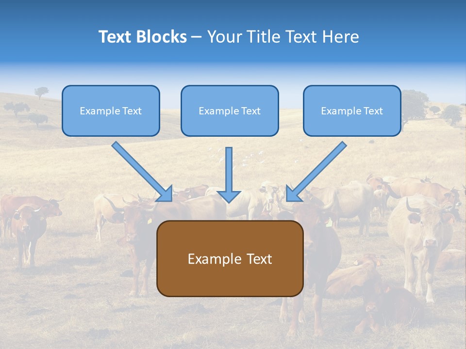Brown Land Nature PowerPoint Template