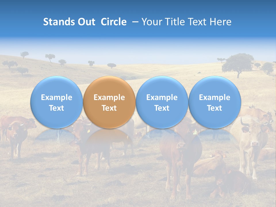 Brown Land Nature PowerPoint Template