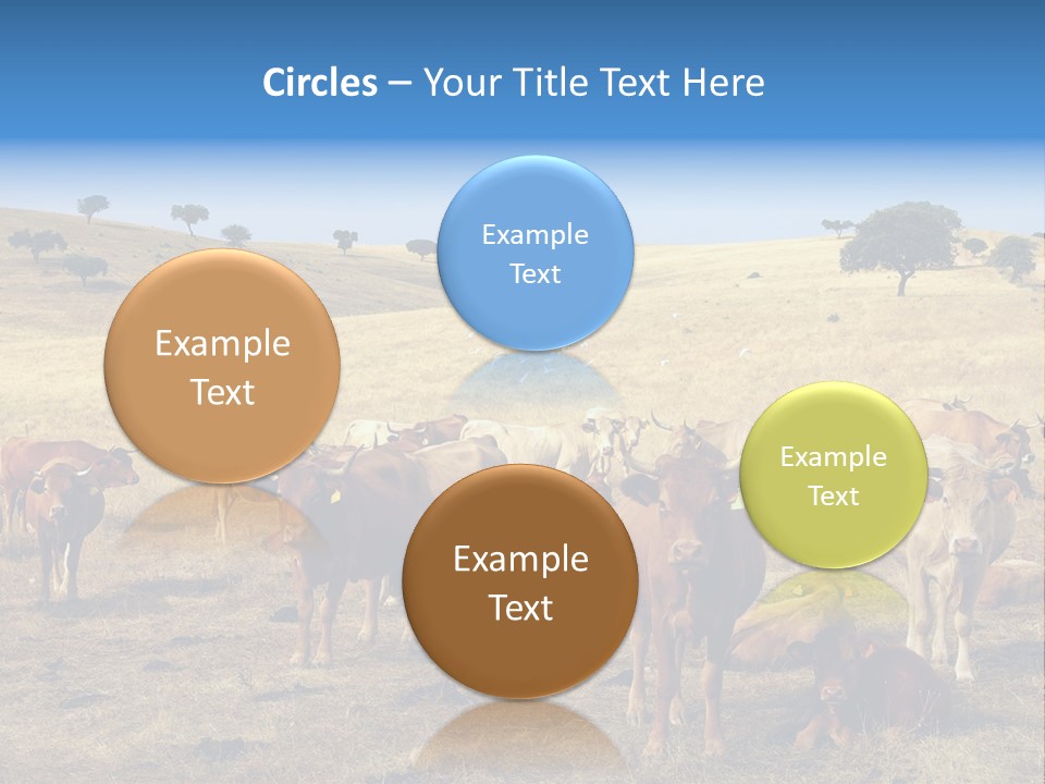 Brown Land Nature PowerPoint Template