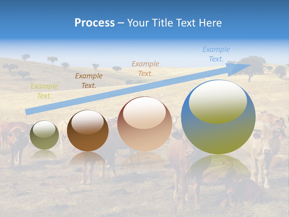 Brown Land Nature PowerPoint Template