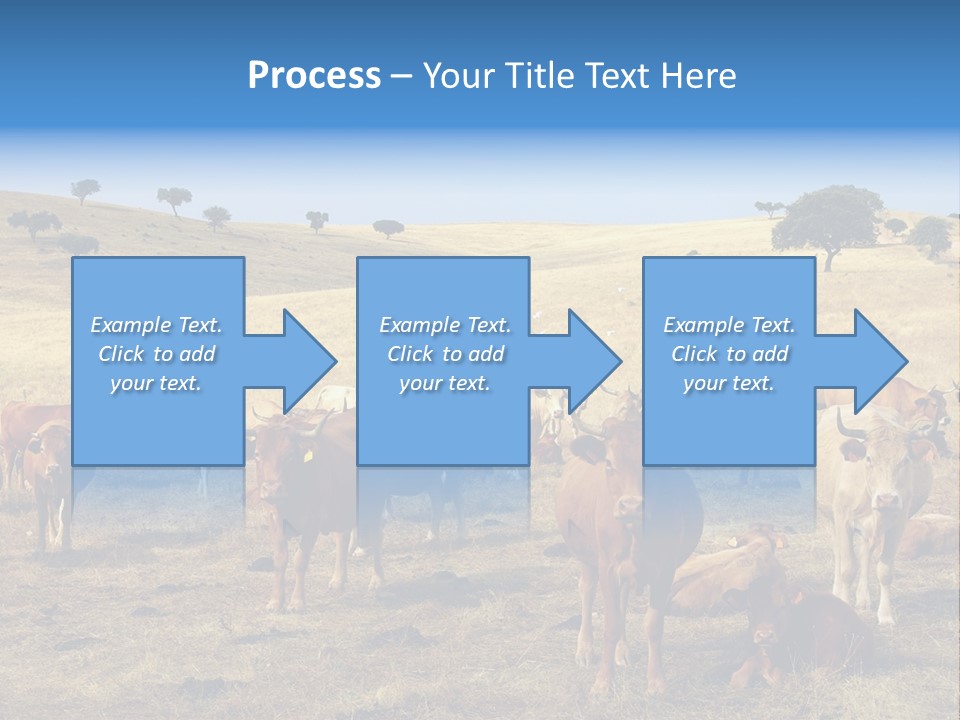 Brown Land Nature PowerPoint Template