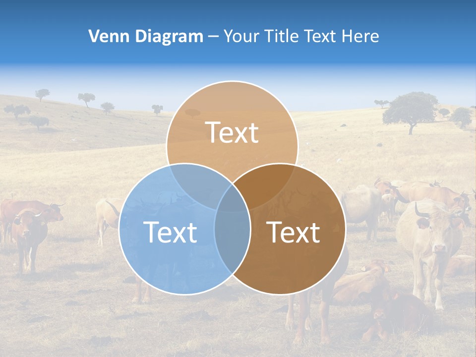 Brown Land Nature PowerPoint Template