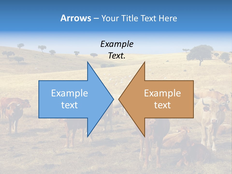 Brown Land Nature PowerPoint Template