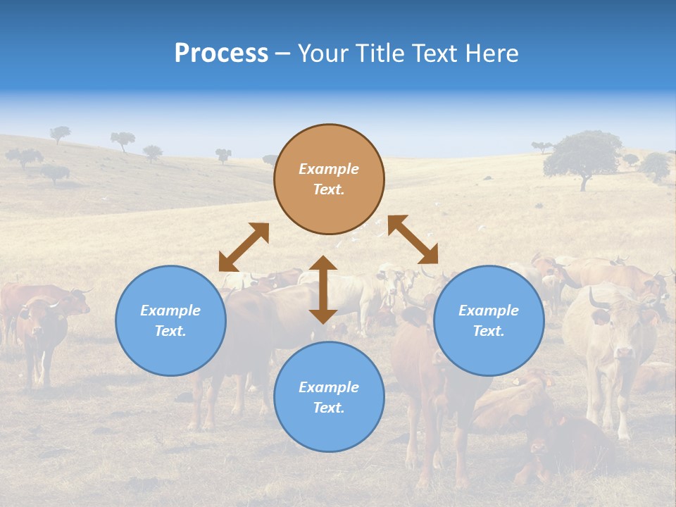 Brown Land Nature PowerPoint Template