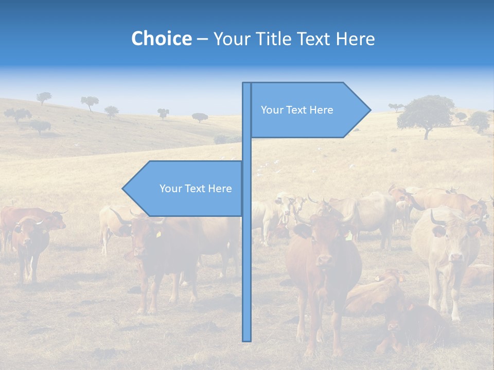 Brown Land Nature PowerPoint Template