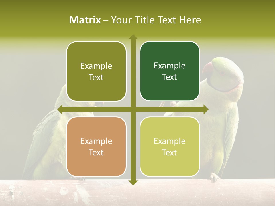 National Parakeets Nature PowerPoint Template