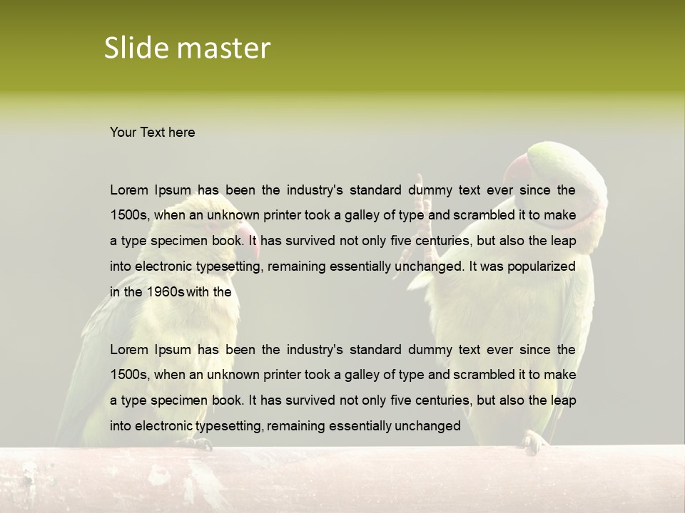 National Parakeets Nature PowerPoint Template