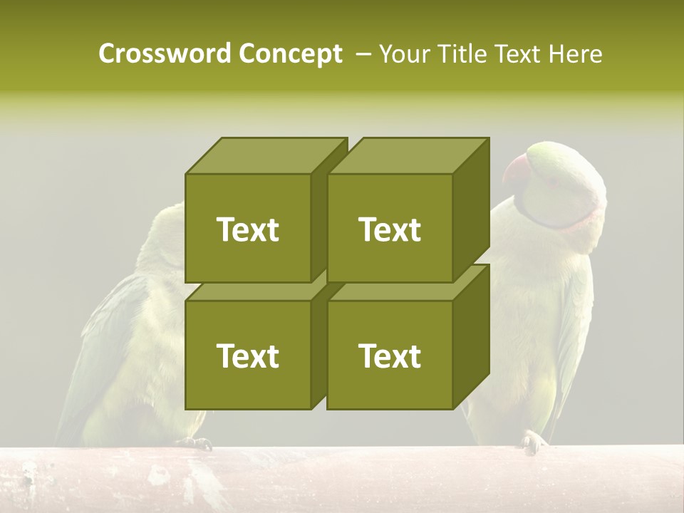 National Parakeets Nature PowerPoint Template