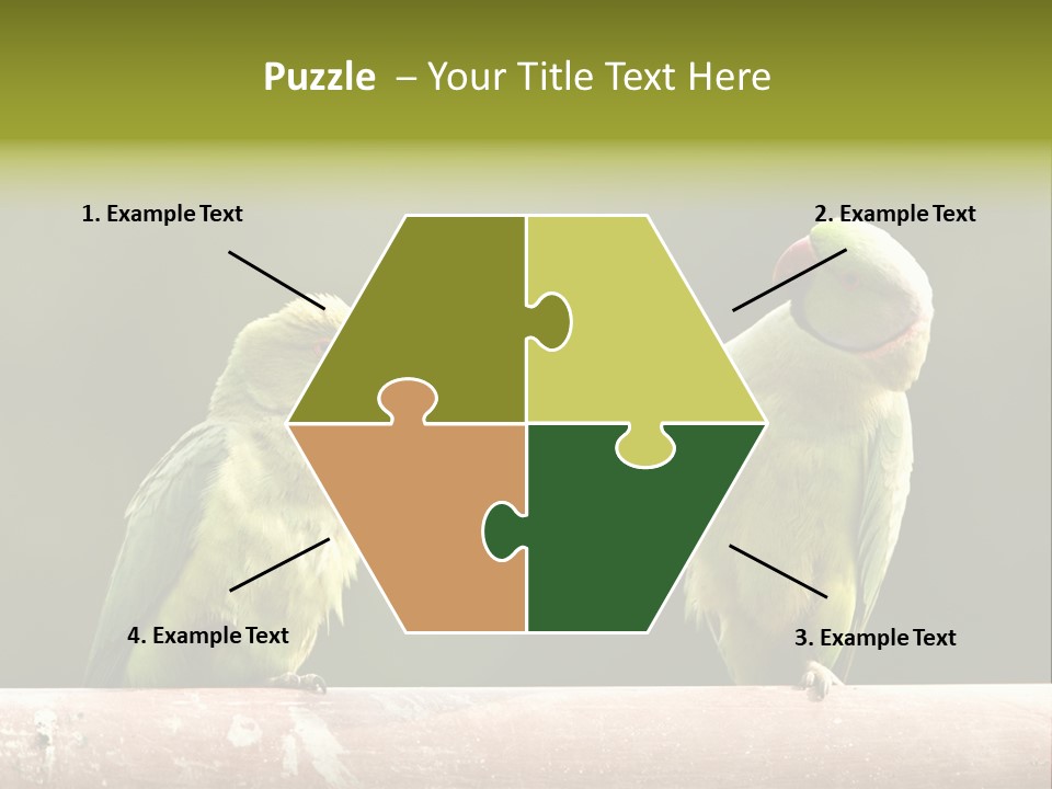 National Parakeets Nature PowerPoint Template