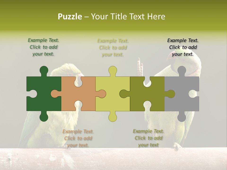 National Parakeets Nature PowerPoint Template