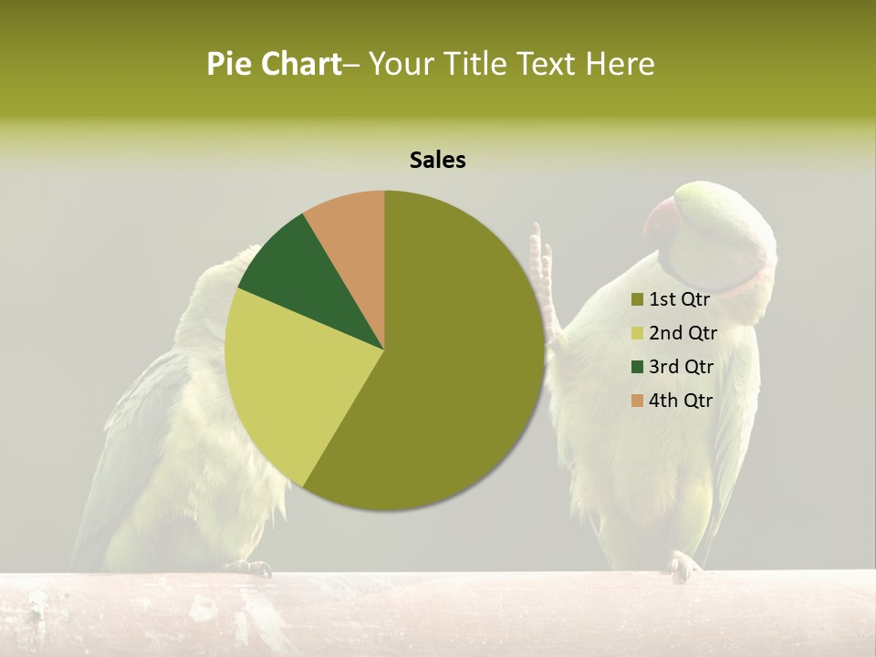 National Parakeets Nature PowerPoint Template
