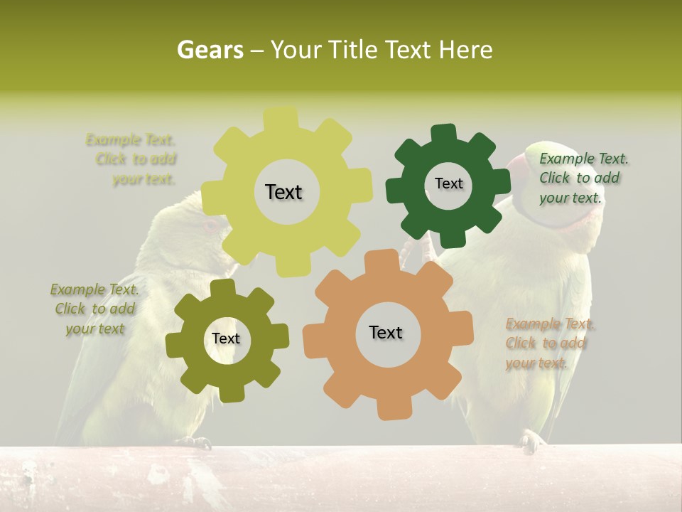 National Parakeets Nature PowerPoint Template