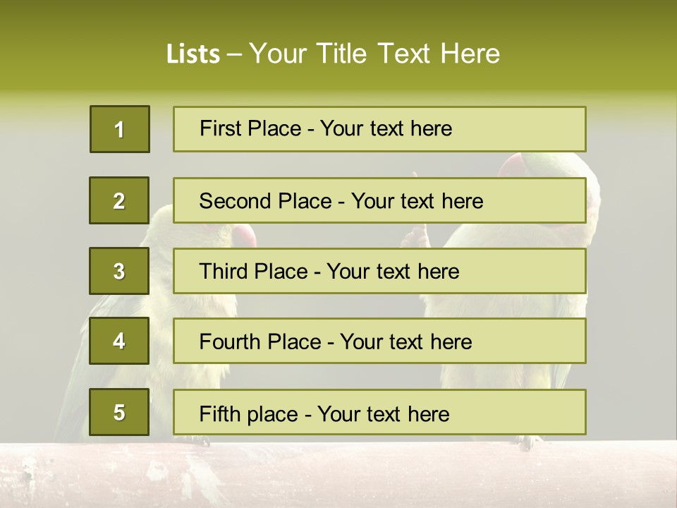 National Parakeets Nature PowerPoint Template