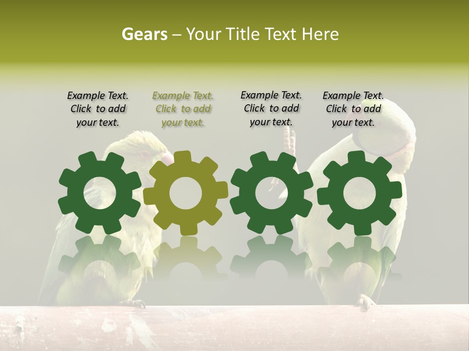 National Parakeets Nature PowerPoint Template