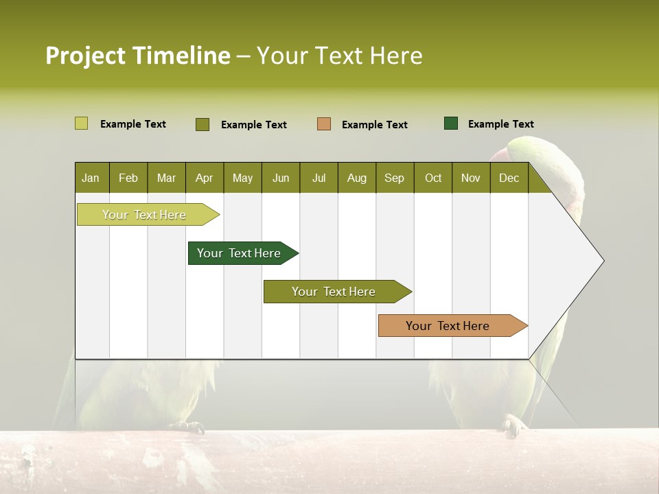 National Parakeets Nature PowerPoint Template