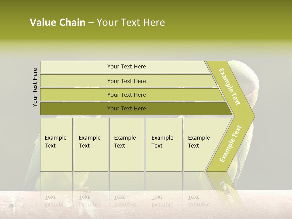 National Parakeets Nature PowerPoint Template