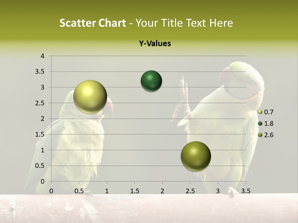 National Parakeets Nature PowerPoint Template