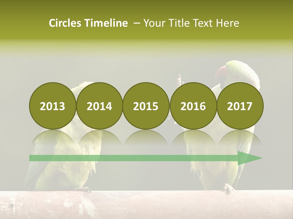 National Parakeets Nature PowerPoint Template