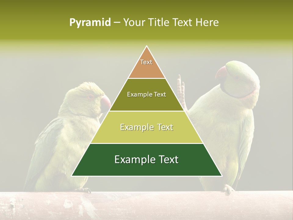 National Parakeets Nature PowerPoint Template