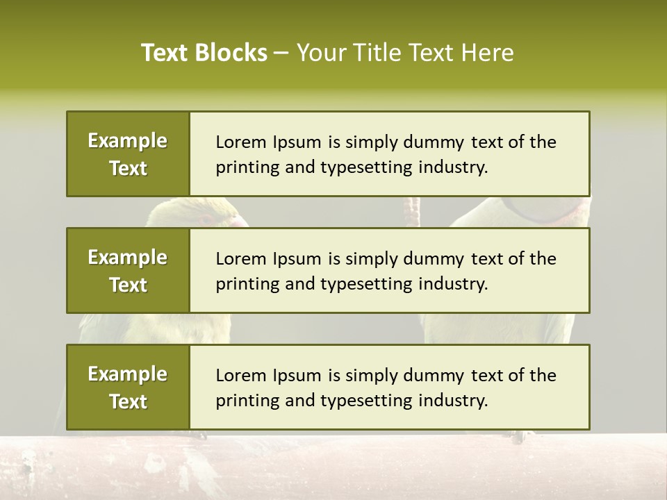 National Parakeets Nature PowerPoint Template