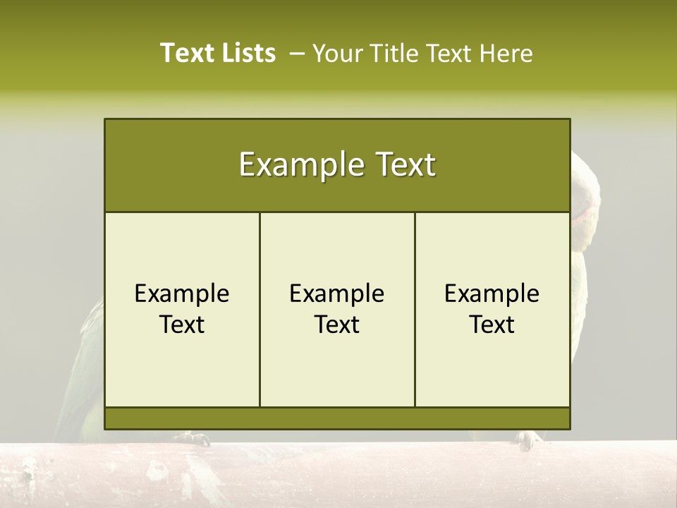 National Parakeets Nature PowerPoint Template