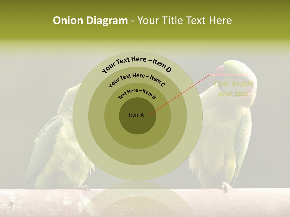 National Parakeets Nature PowerPoint Template