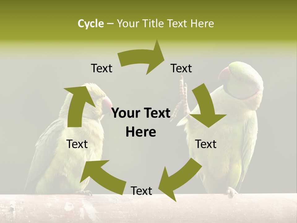 National Parakeets Nature PowerPoint Template