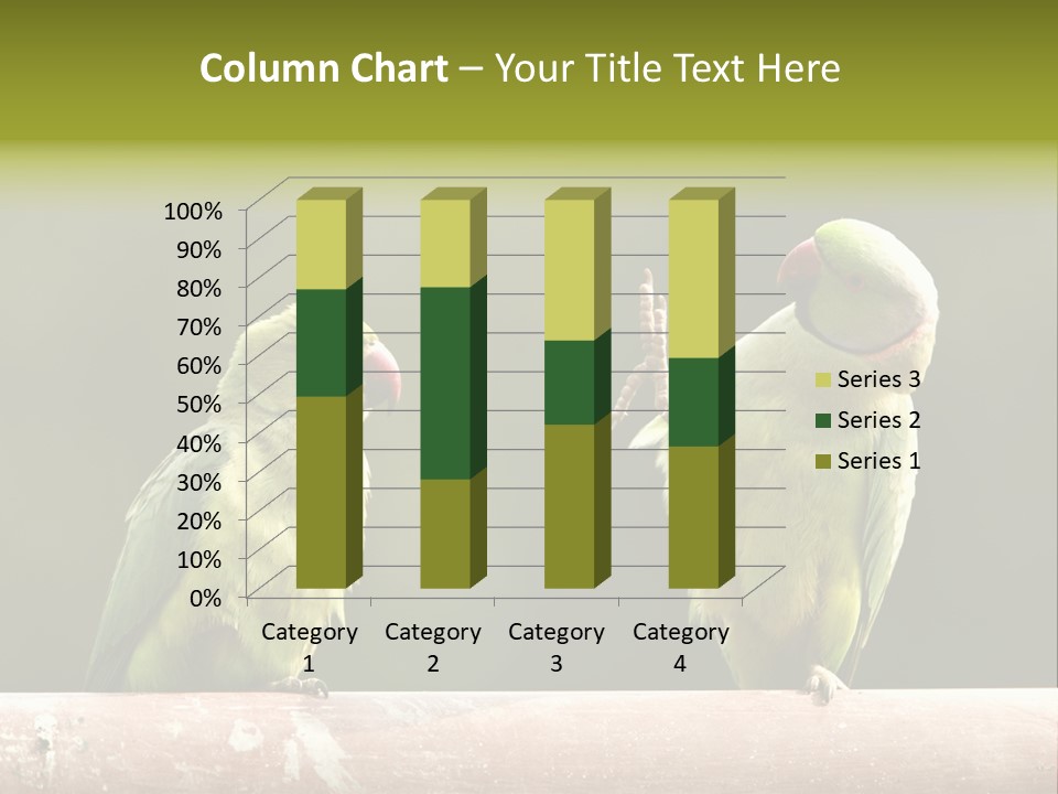 National Parakeets Nature PowerPoint Template