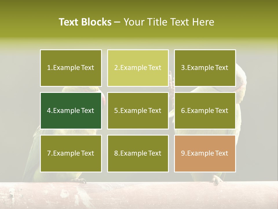 National Parakeets Nature PowerPoint Template