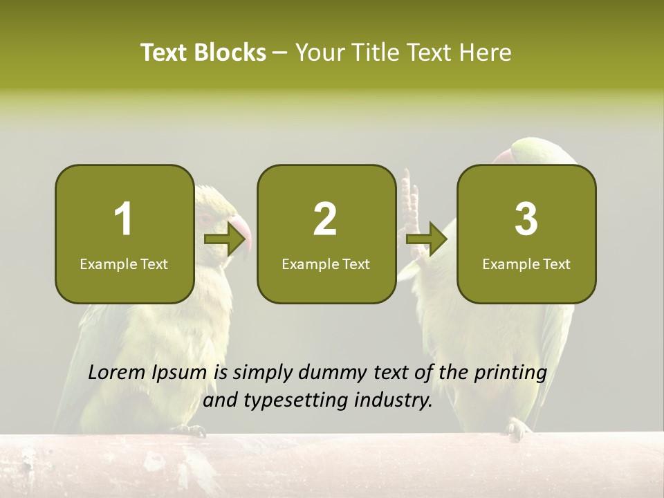 National Parakeets Nature PowerPoint Template