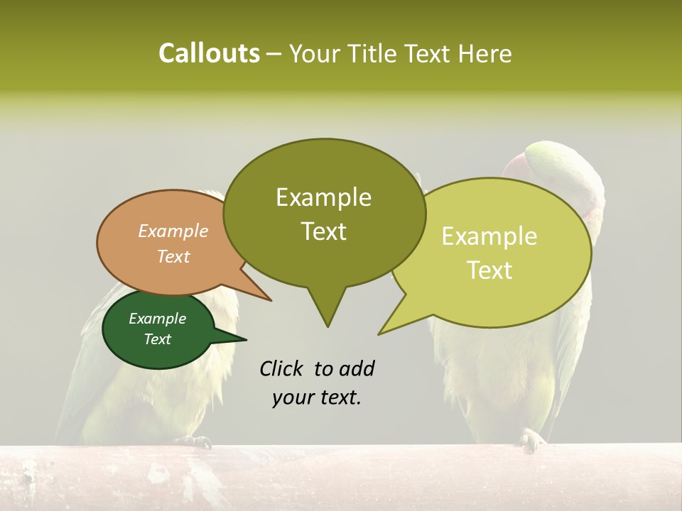 National Parakeets Nature PowerPoint Template