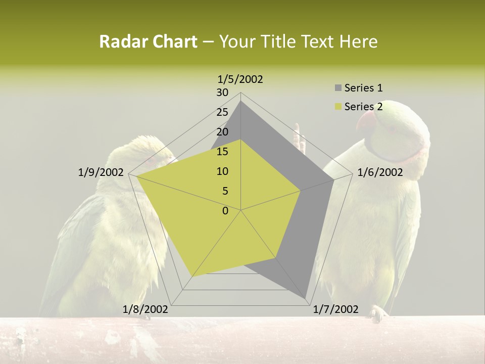 National Parakeets Nature PowerPoint Template