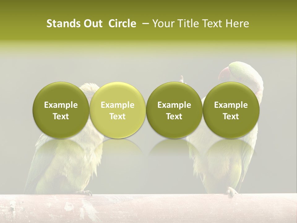 National Parakeets Nature PowerPoint Template